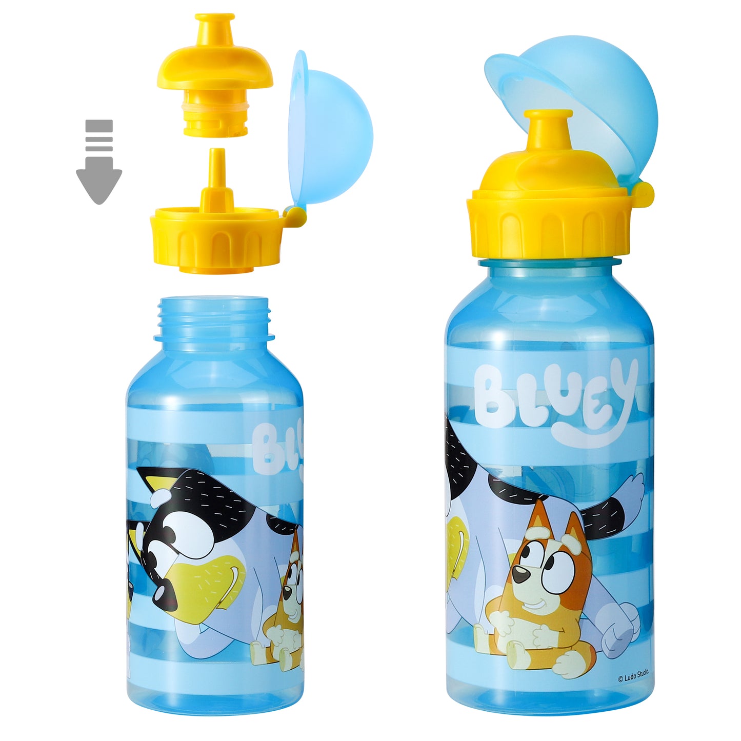 Bluey 370ml Water Bottle for Kids School Drinks Bottle Made of Durable Material Reusable BPA Free