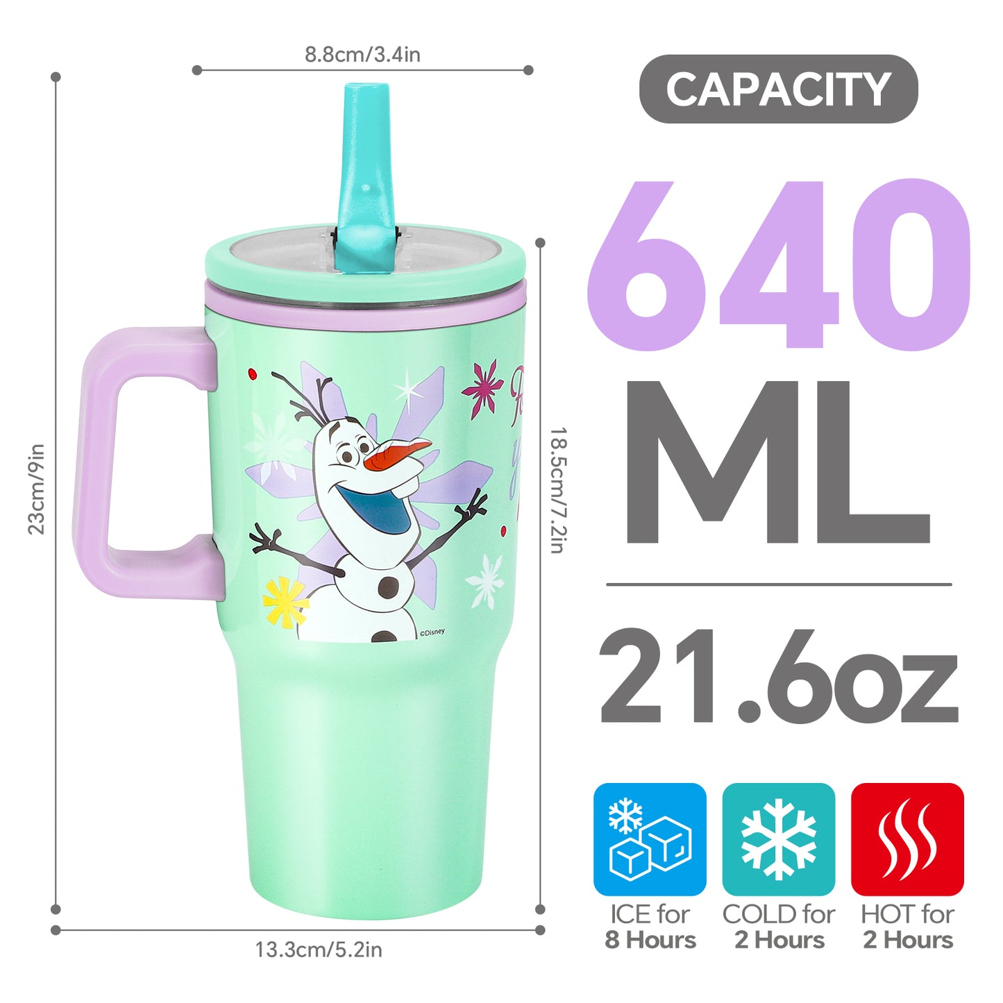 Frozen 640mL Double Walled Vacuum Insulated Tumbler with Straw & Handle