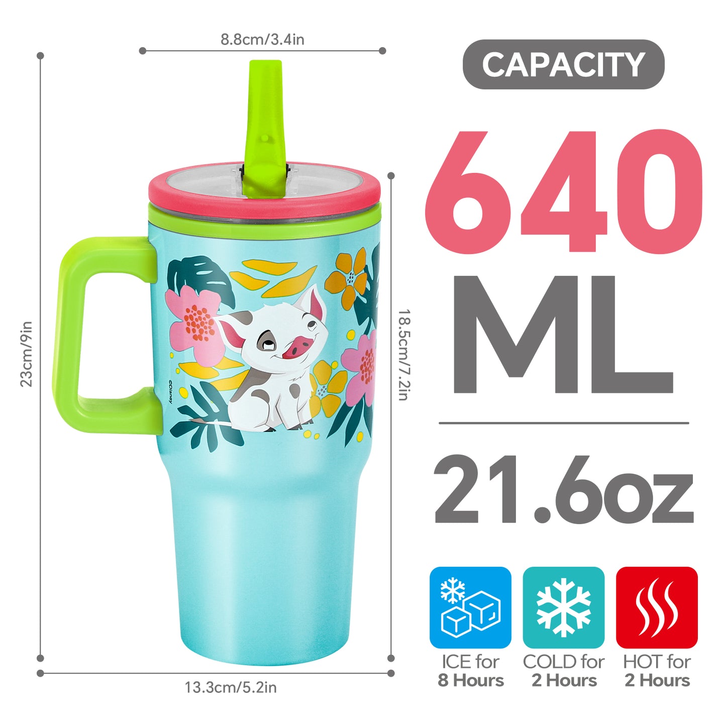 Moana 640mL Double Walled Vacuum Insulated Tumbler with Straw & Handle