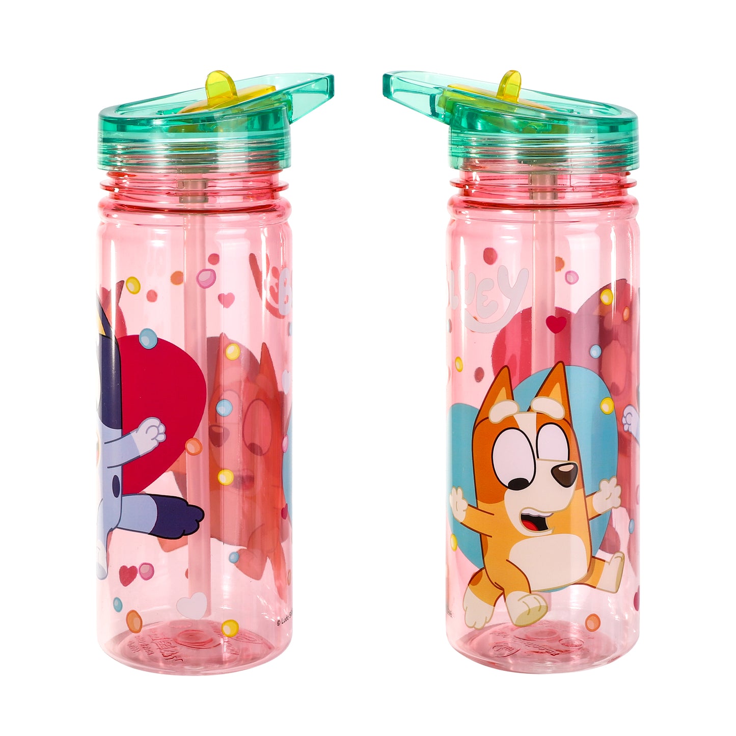 Bluey 580ml Water Bottle for Kids, School Drinks Bottle Made of Durable Ecozen BPA Free