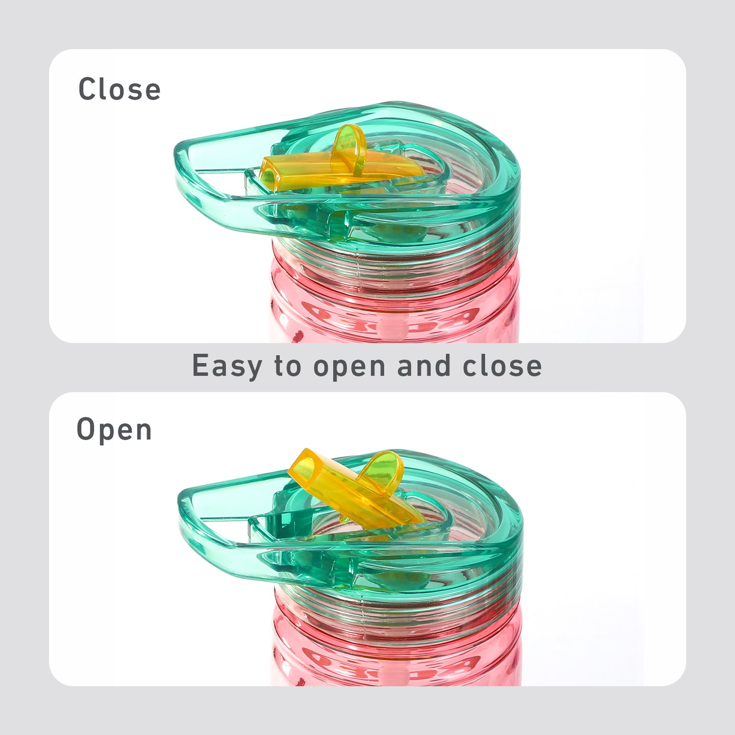 Bluey 580ml Water Bottle for Kids, School Drinks Bottle Made of Durable Ecozen BPA Free