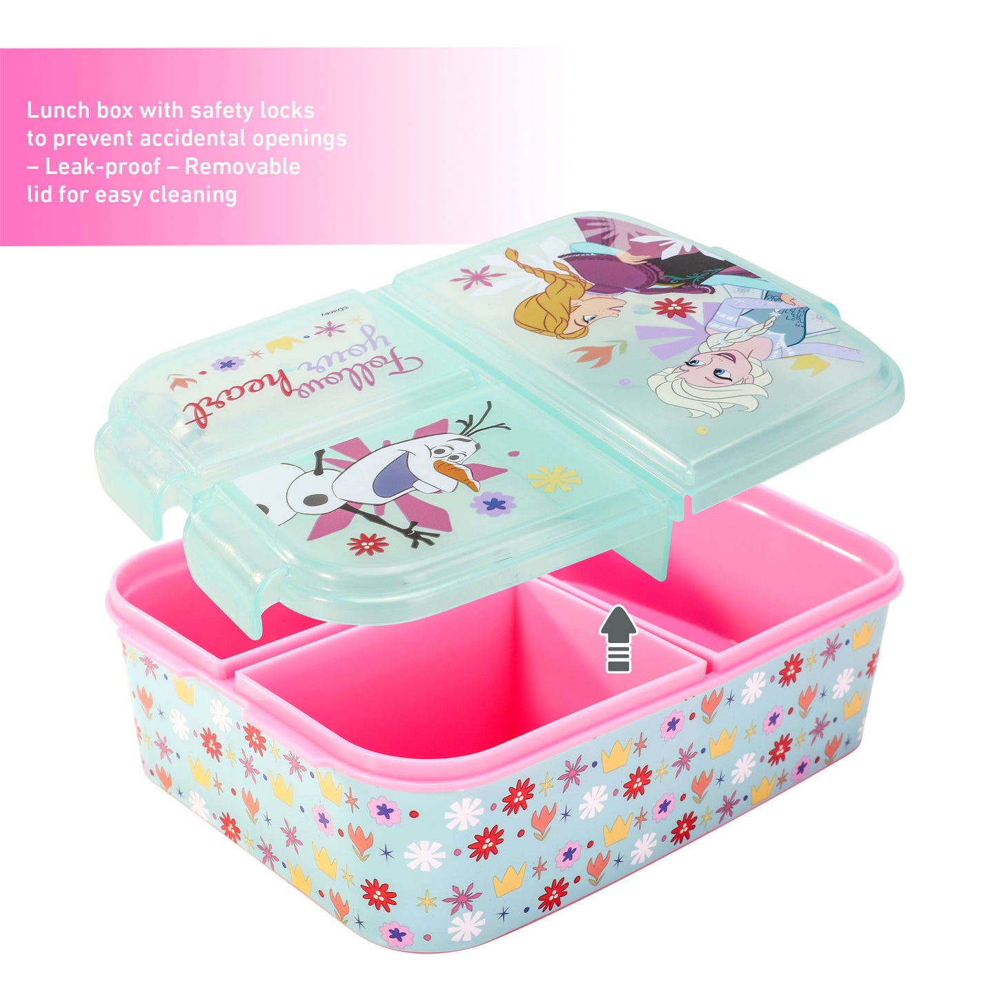 Frozen Flowers Kids Childrens Multi Compartment Rectangular School Travel Lunch Food Box Sandwich Bento Container, BPA Free