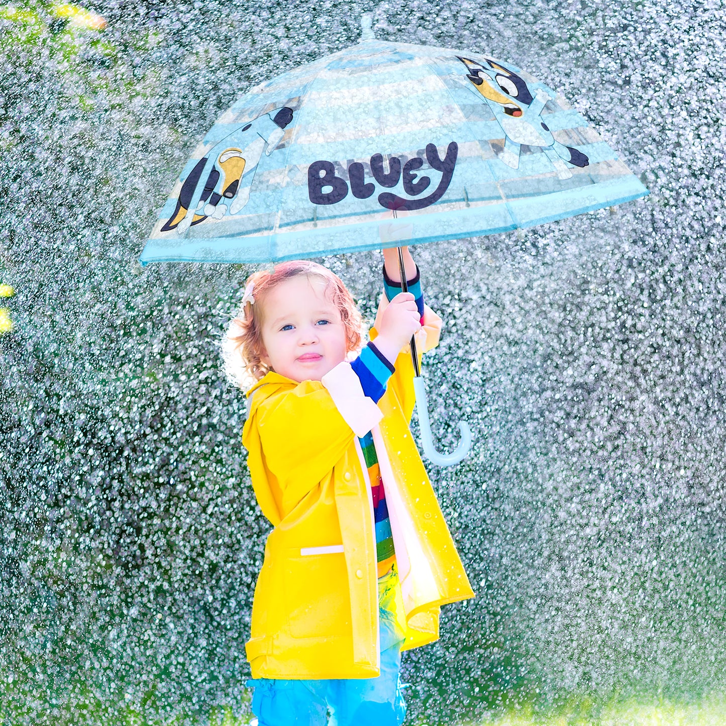 Bluey Dome Umbrella for Kids Childrens Boys Girls Brolly with Safety Opening