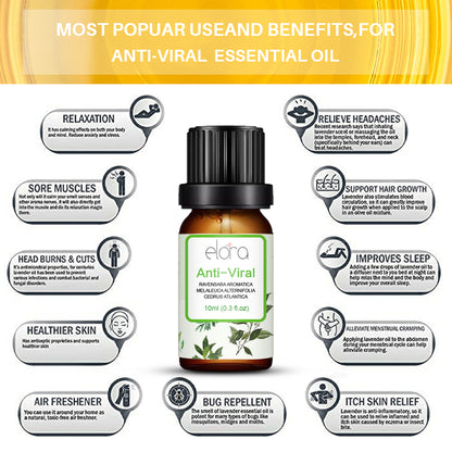 Elora 10ml Essential Oil - 100% Pure Natural Essential Oils for Diffuser, Humidifier, Aromatherapy, Sleep and Relaxation (10ml, Anti Viral (Ravensara, Tea Tree & Cedarwood Blend))