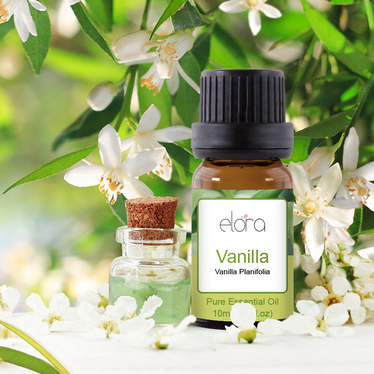 Elora 10ml Vanilla Essential Oil - 100% Pure Natural Essential Oils for Diffuser, Humidifier, Aromatherapy, Sleep and Relaxation