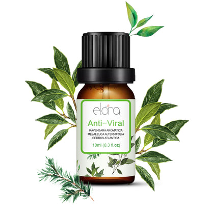 Elora 10ml Essential Oil - 100% Pure Natural Essential Oils for Diffuser, Humidifier, Aromatherapy, Sleep and Relaxation (10ml, Anti Viral (Ravensara, Tea Tree & Cedarwood Blend))