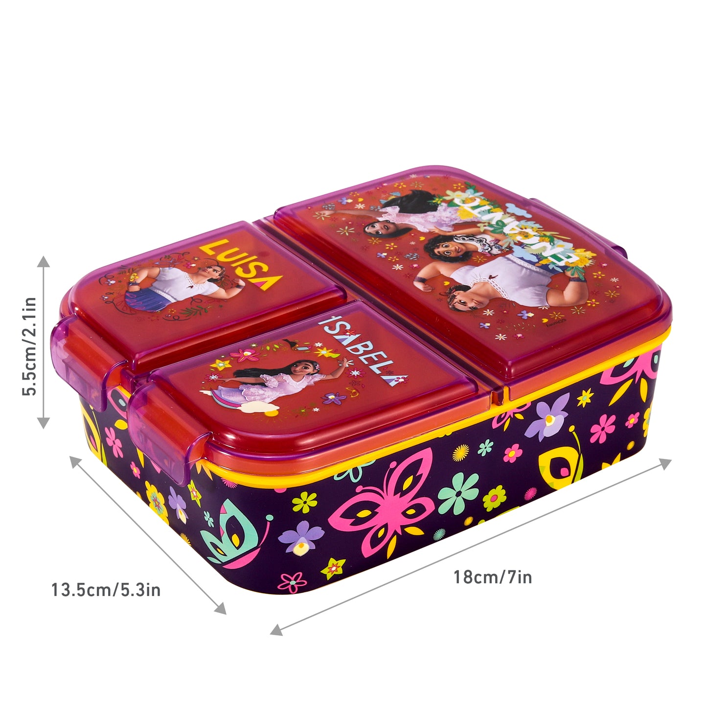 Encanto Kids Childrens Multi Compartment Rectangular School Travel Lunch Food Box Sandwich Bento Container, BPA Free