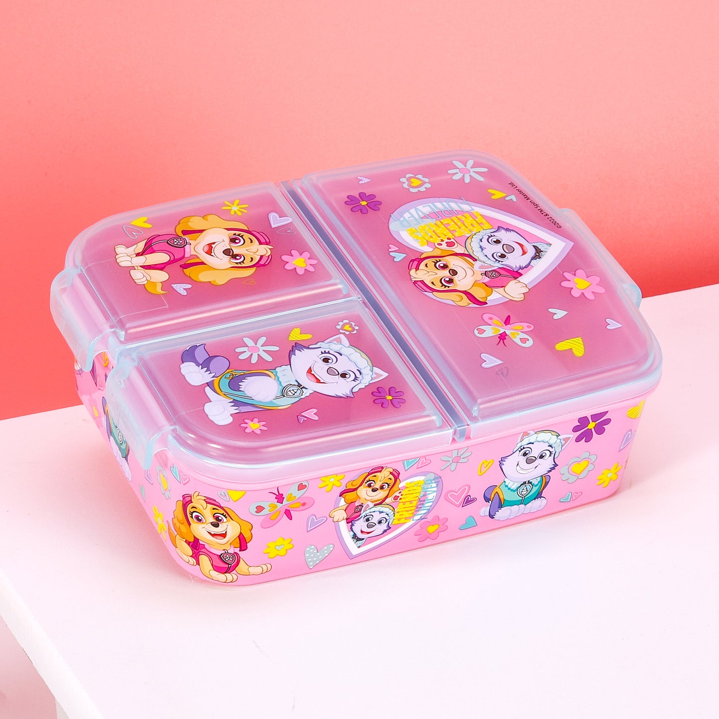 Paw Patrol Kids Childrens Multi Compartment Rectangular School Travel Lunch Food Box Sandwich Bento Container, BPA Free