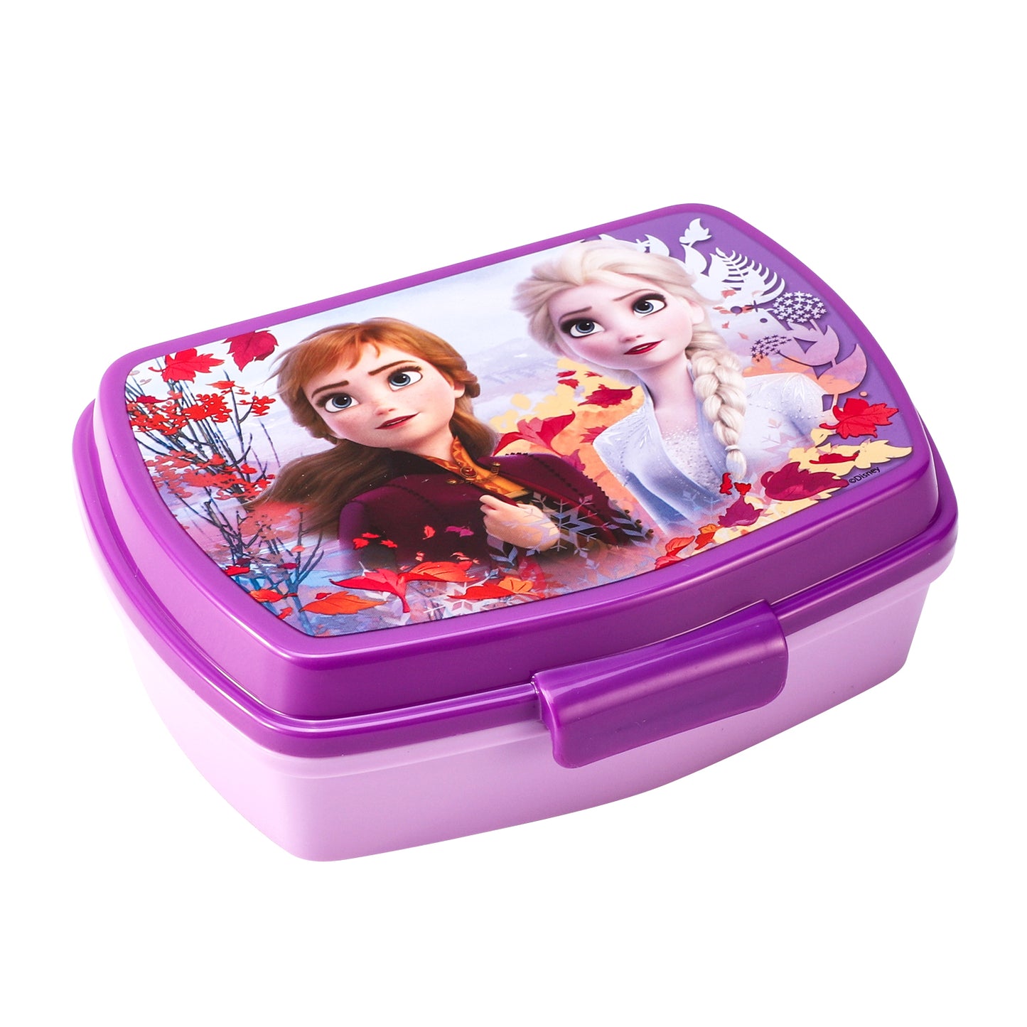 Disney Frozen Lunch Food Box Container, BPA Free