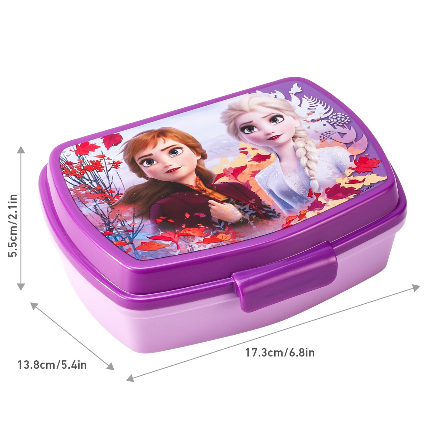 Disney Frozen Lunch Food Box Container, BPA Free