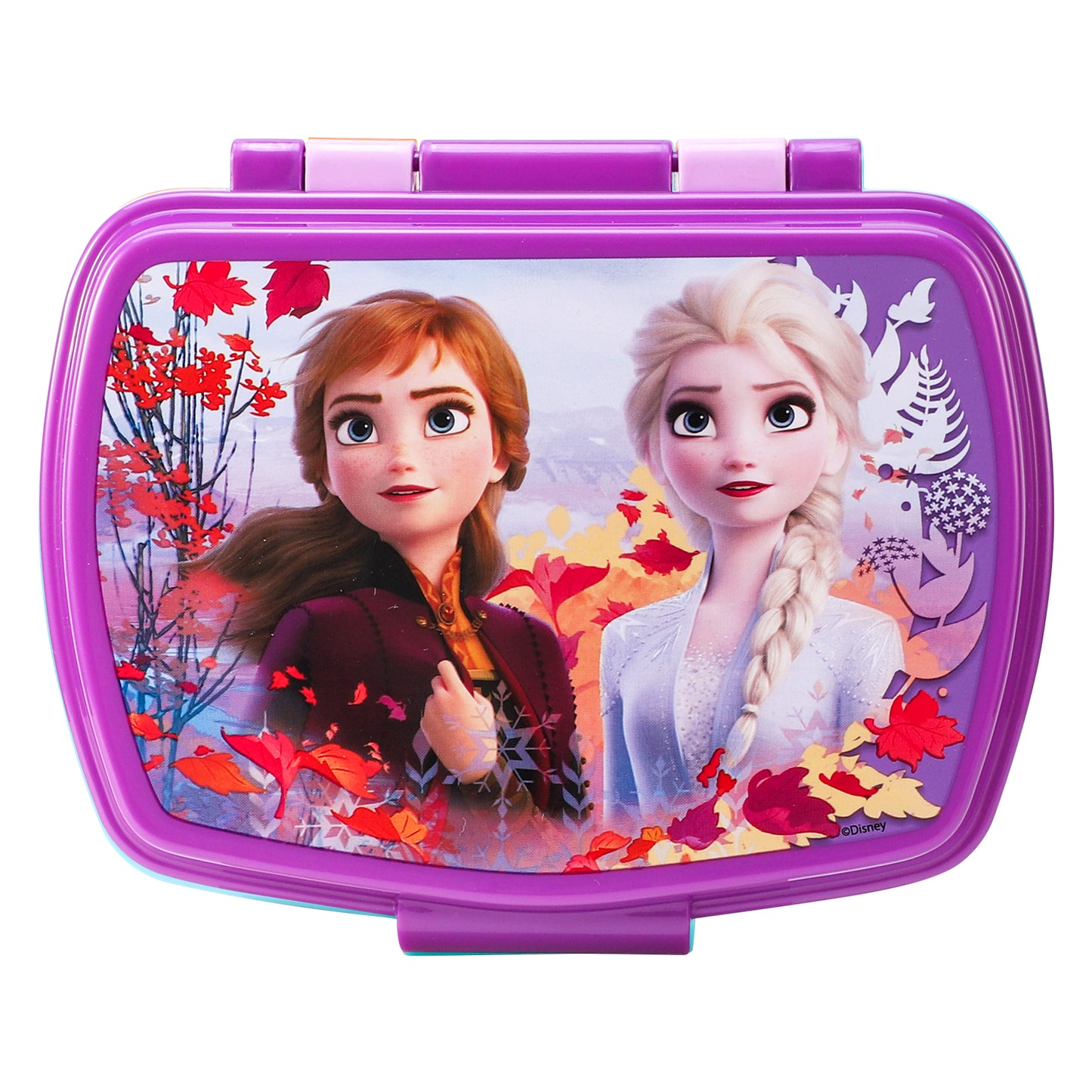 Disney Frozen Lunch Food Box Container, BPA Free