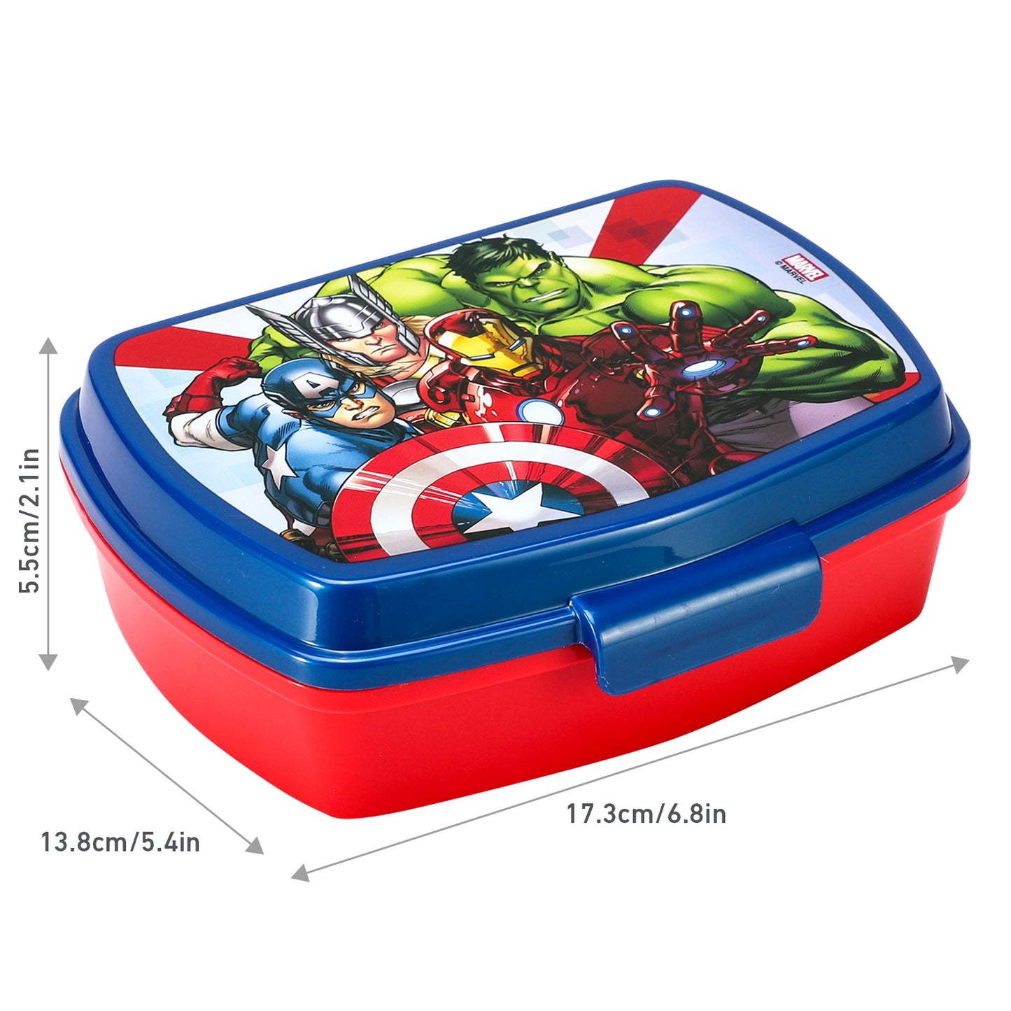 Avengers Lunch Food Box Container, BPA free